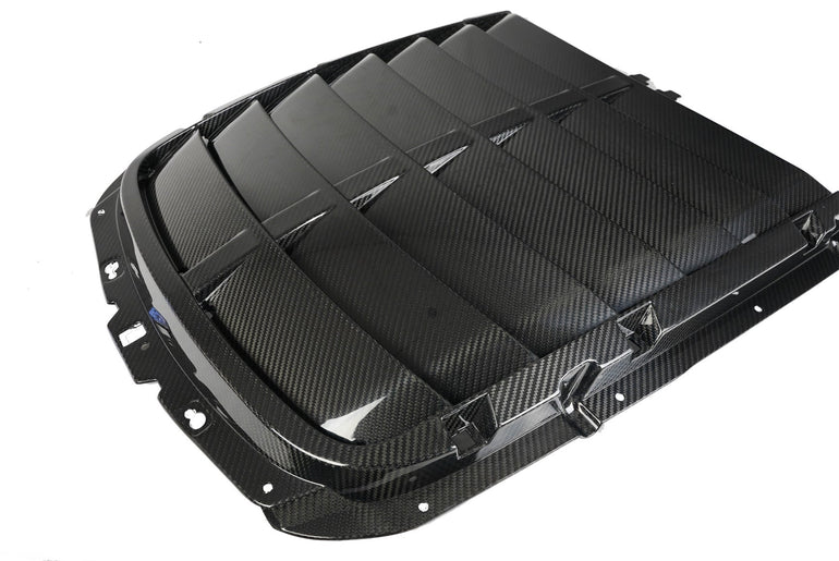 APR PERFORMANCE CARBON FIBRE HOOD VENT
