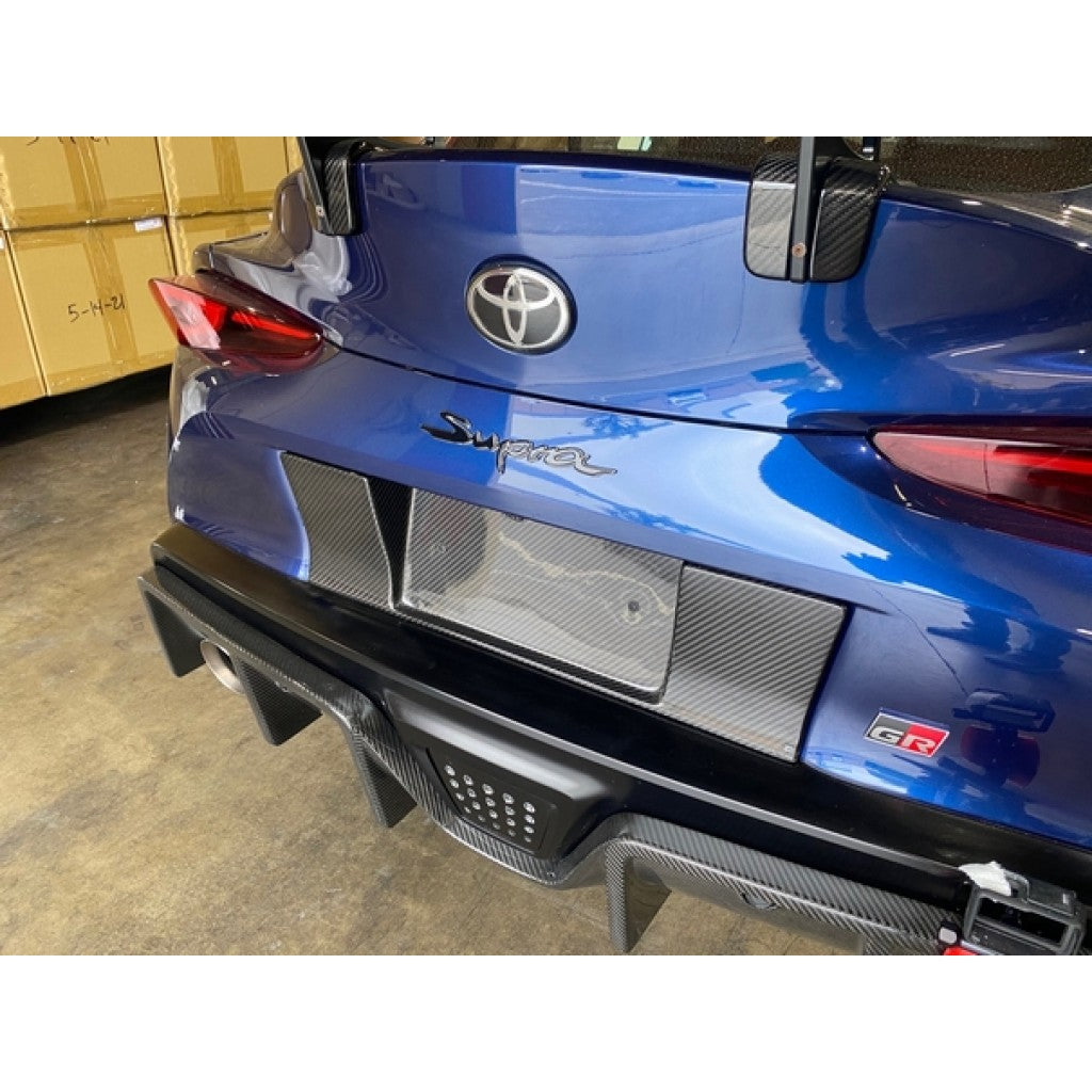 APR PERFORMANCE CARBON FIBRE LICENSE PLATE BACKING