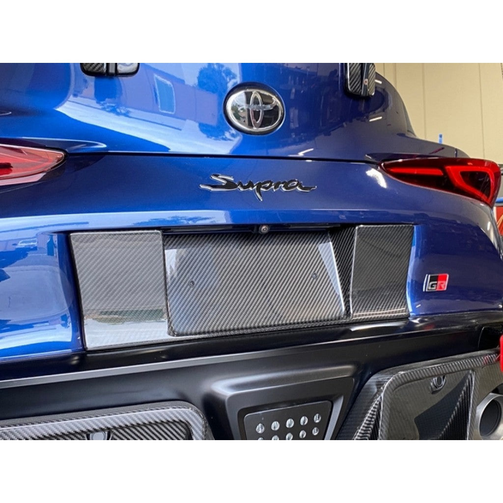 APR PERFORMANCE CARBON FIBRE LICENSE PLATE BACKING