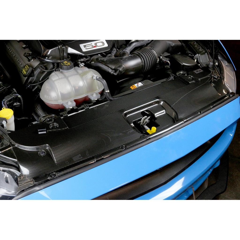 APR PERFORMANCE CARBON FIBRE RADIATOR COOLING PLATE