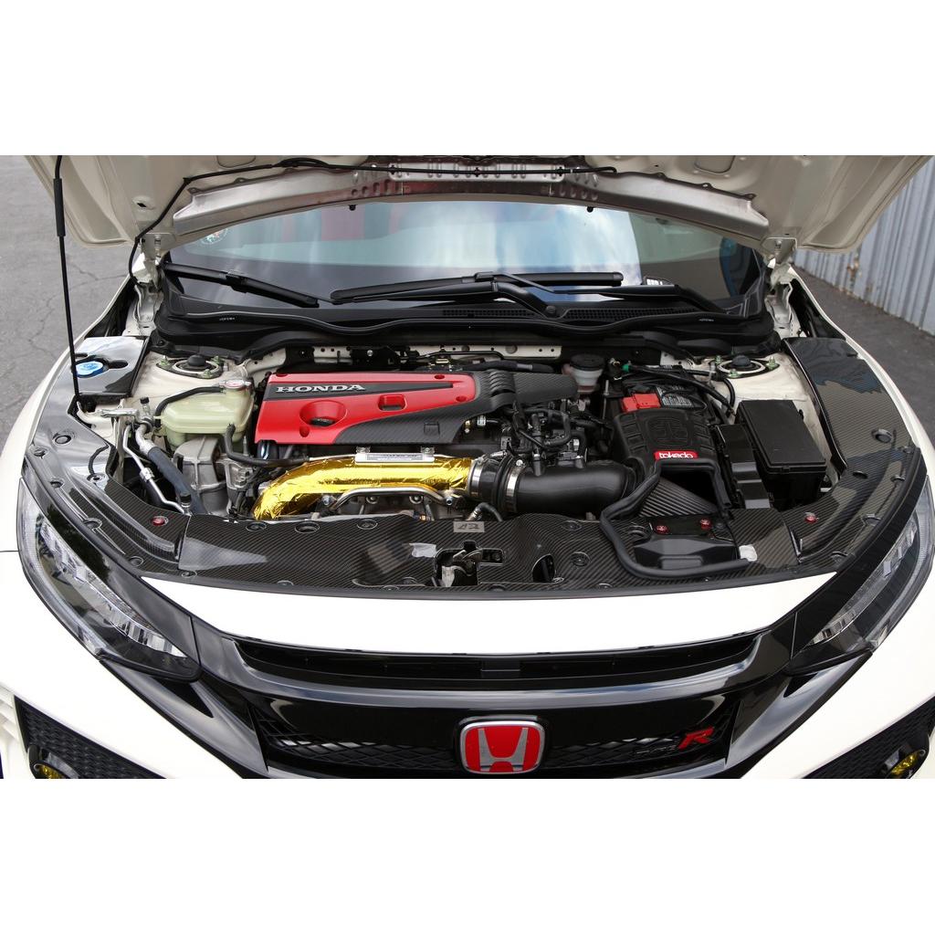 APR PERFORMANCE CARBON FIBRE RADIATOR COOLING PLATE