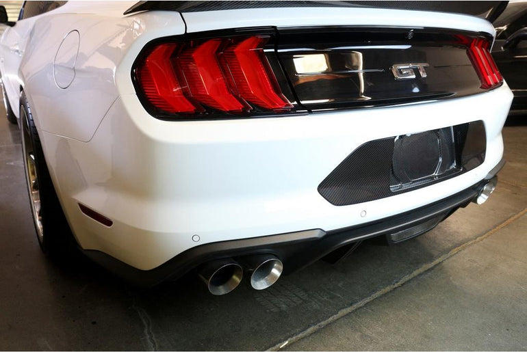 APR PERFORMANCE CARBON FIBRE LICENSE PLATE BACKING