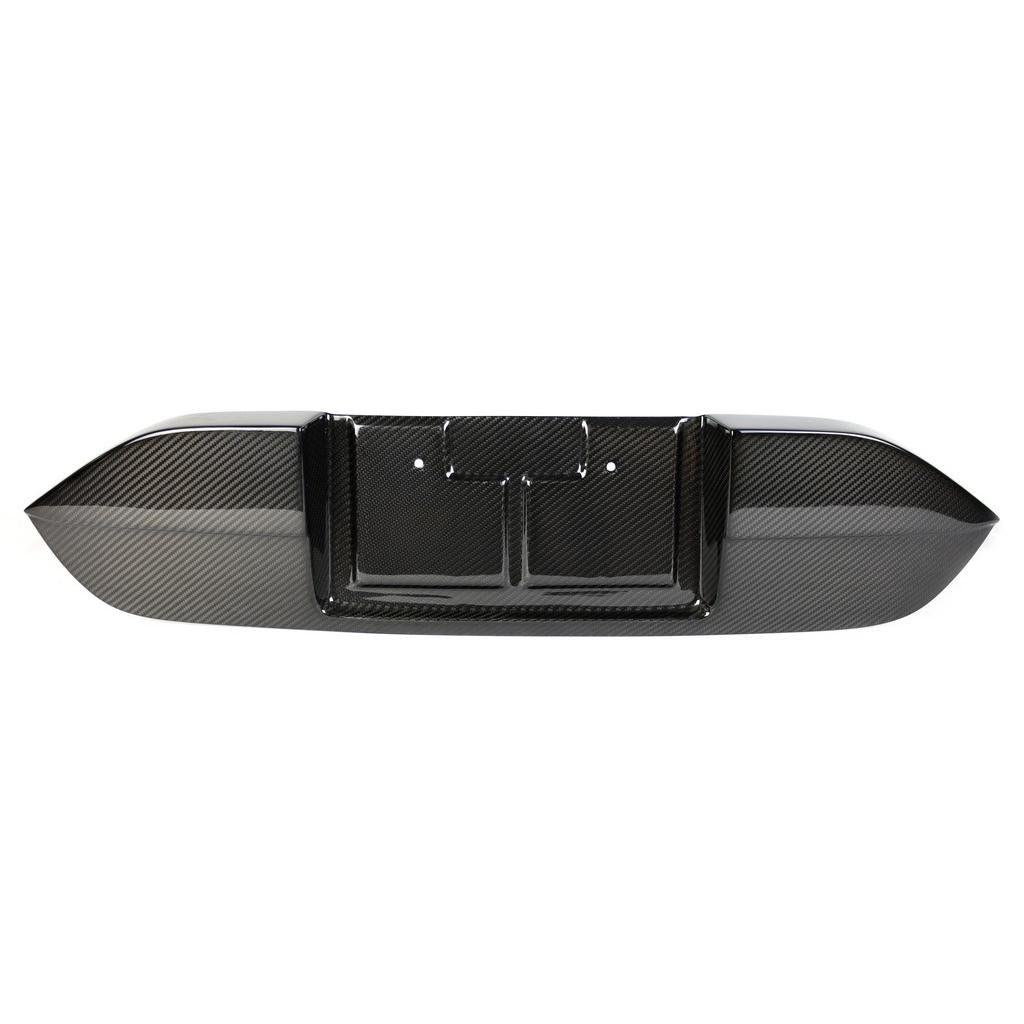 APR PERFORMANCE CARBON FIBRE LICENSE PLATE BACKING