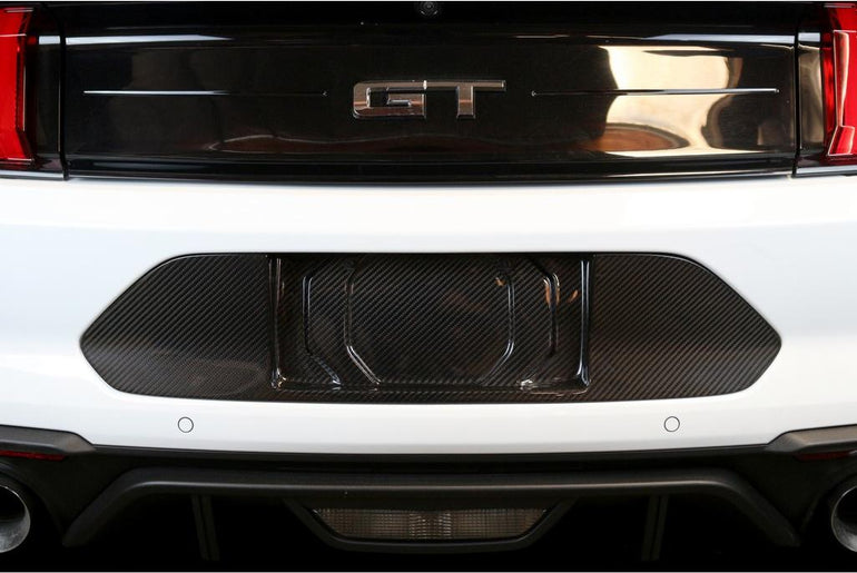 APR PERFORMANCE CARBON FIBRE LICENSE PLATE BACKING