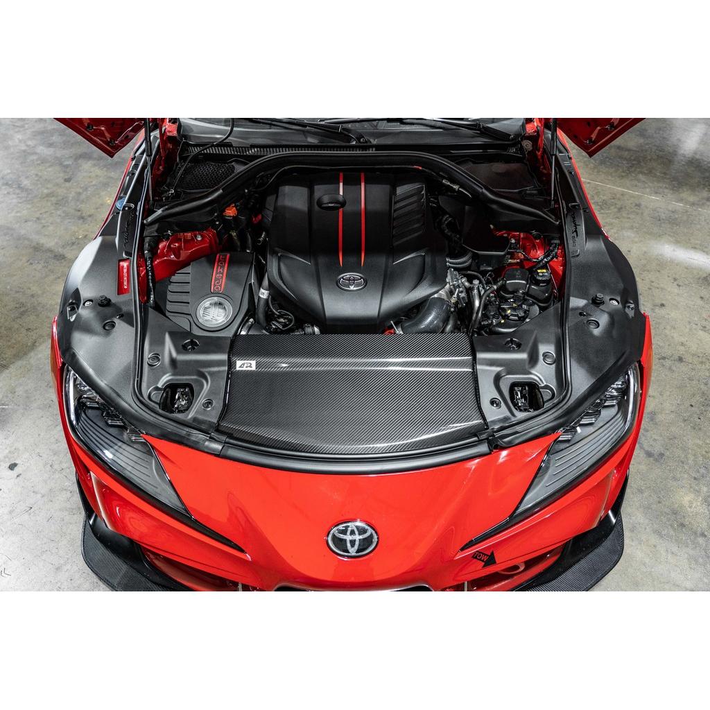 APR PERFORMANCE CARBON FIBRE COOLING PLATES