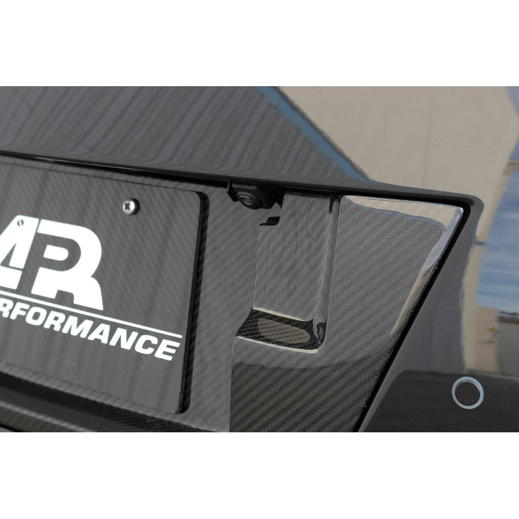 APR PERFORMANCE CARBON FIBRE LICENSE PLATE BACKING