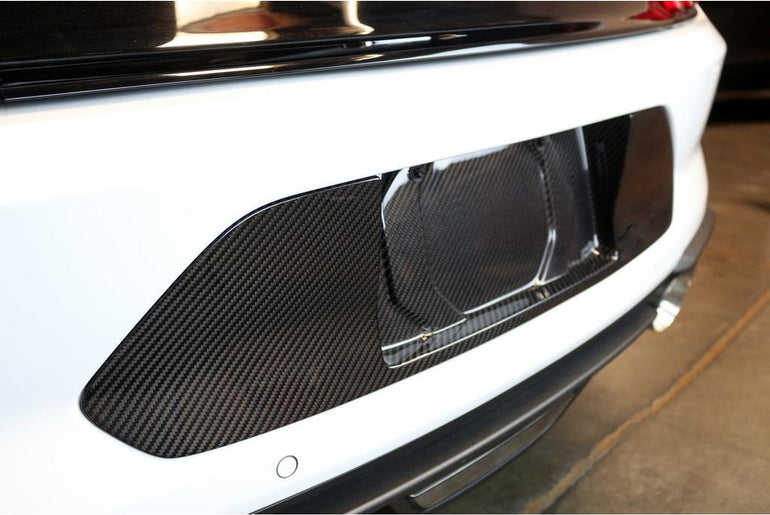 APR PERFORMANCE CARBON FIBRE LICENSE PLATE BACKING