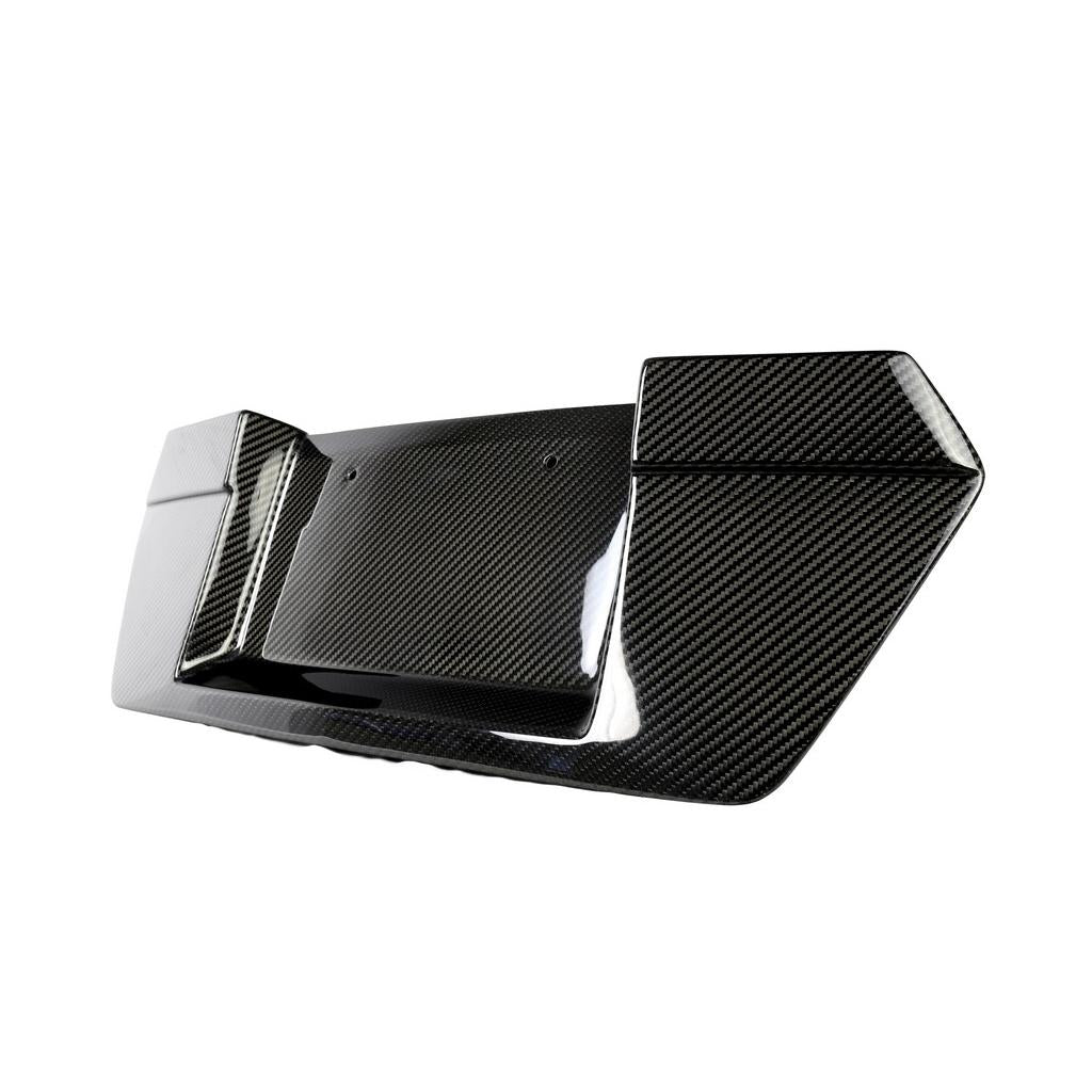 APR PERFORMANCE CARBON FIBRE LICENSE PLATE BACKING
